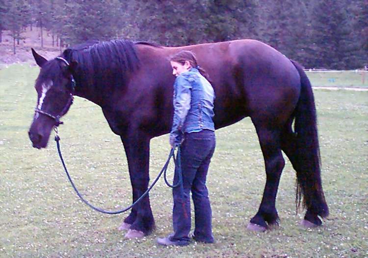 Bloomjuly102005bellyscratch.JPG
