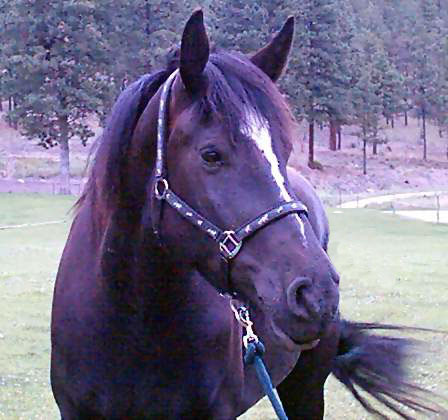 Bloomjuly102005smiling.JPG