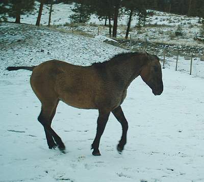 SMdec2003nasty!.JPG