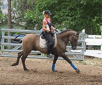 SMoliviarightcanter2.jpg
