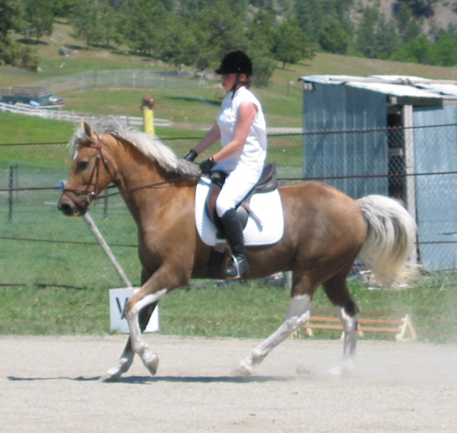 cuervodressagecantermay2006.jpg