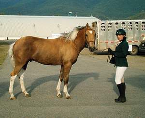 cuervoshowmanshipside2004.JPG