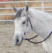 mirageoct2006head.jpg