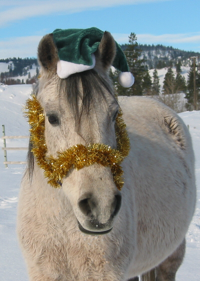 miragexmassm.jpg